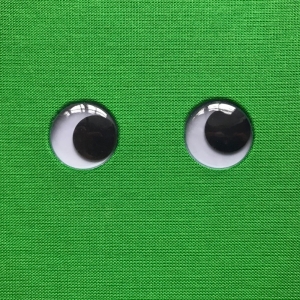 cuaderno de tapa dura "ojos móviles" hojas en blanco / verde / 11 x 15 cm :: imagen 7