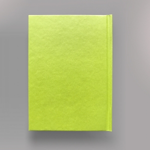 cuaderno de tapa dura "un 6 y un 4 la cara de tu retrato" hojas en blanco / verde / 11 x 15 cm :: imagen 2