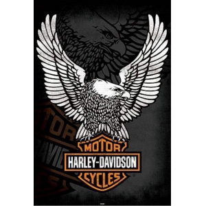 póster harley davidson "eagle" :: imagen 1