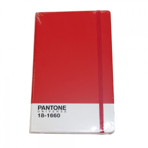 cuaderno pantone "classic collection" hojas rayadas / tomato / grande :: imagen 1