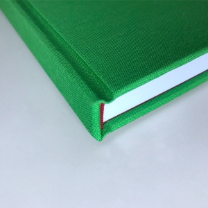 cuaderno de tapa dura "ojos móviles" hojas en blanco / verde / 11 x 15 cm :: imagen 6
